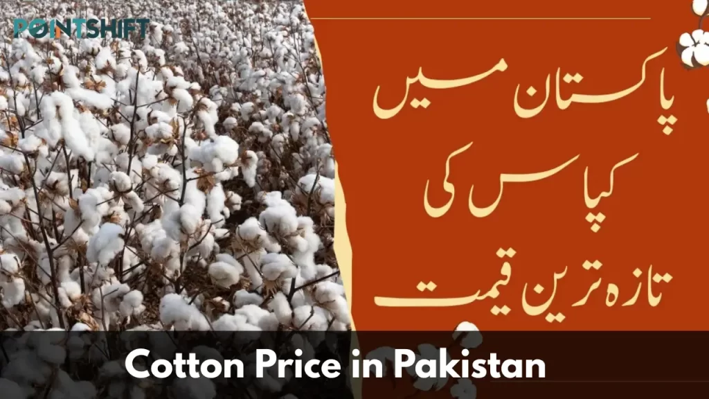 Cotton Price in Pakistan