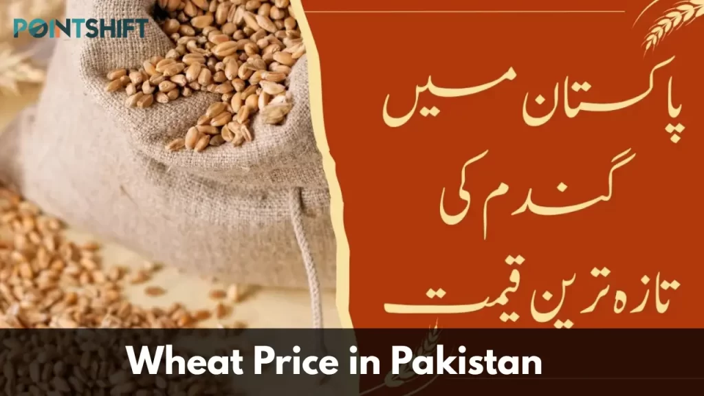 wheat price in pakistan