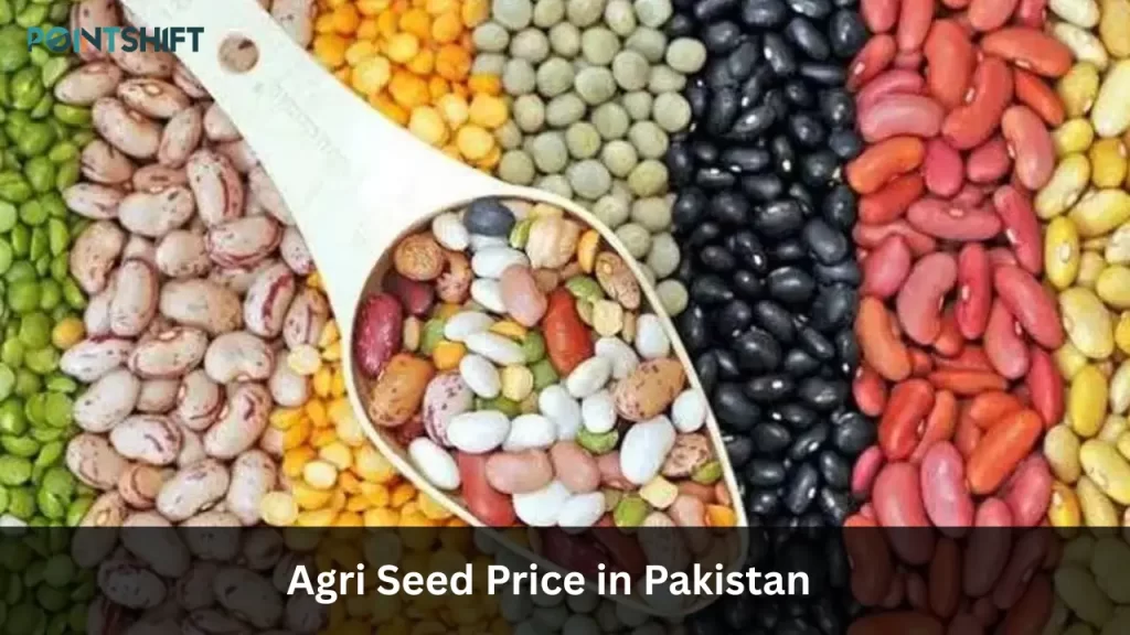 Agri Seed Price in Pakistan