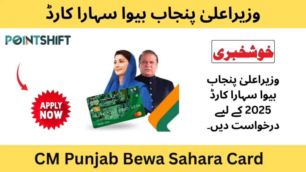 CM Punjab E-Taxi Scheme 2025