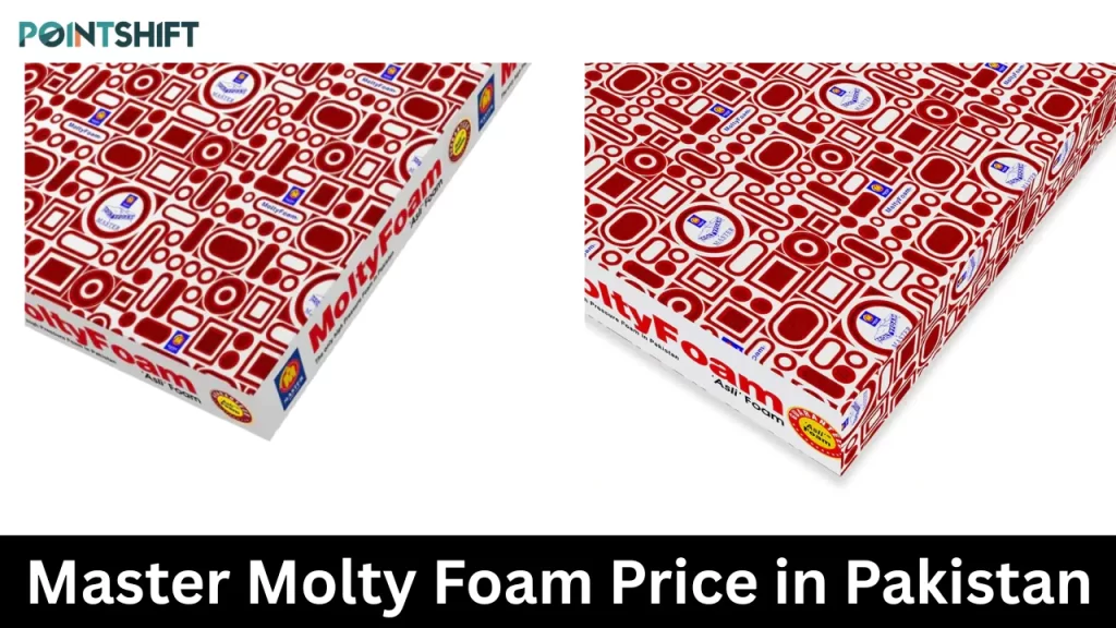 Master Molty Foam Price in Pakistan